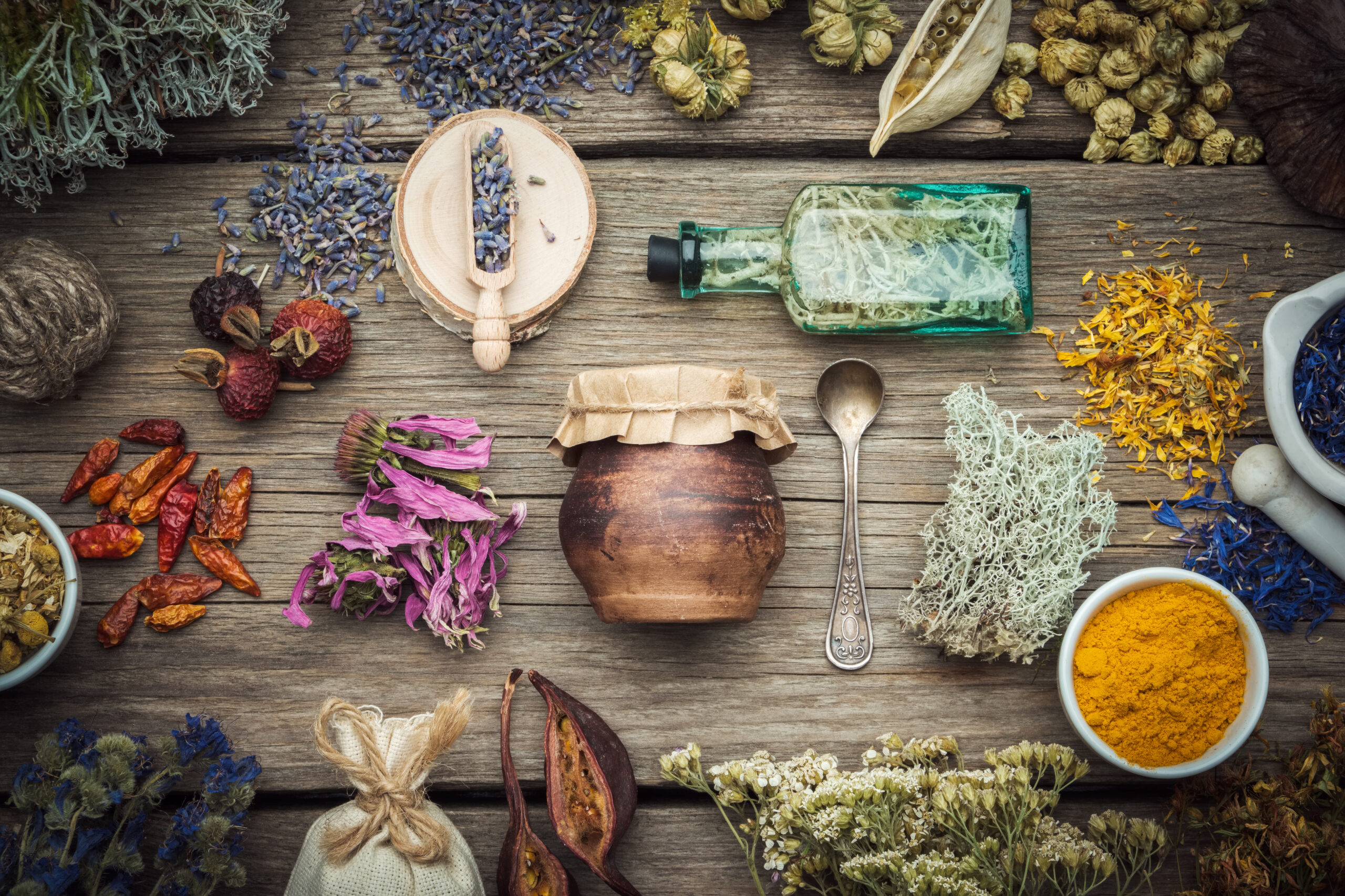 Sage + Seed Introduction & Welcome