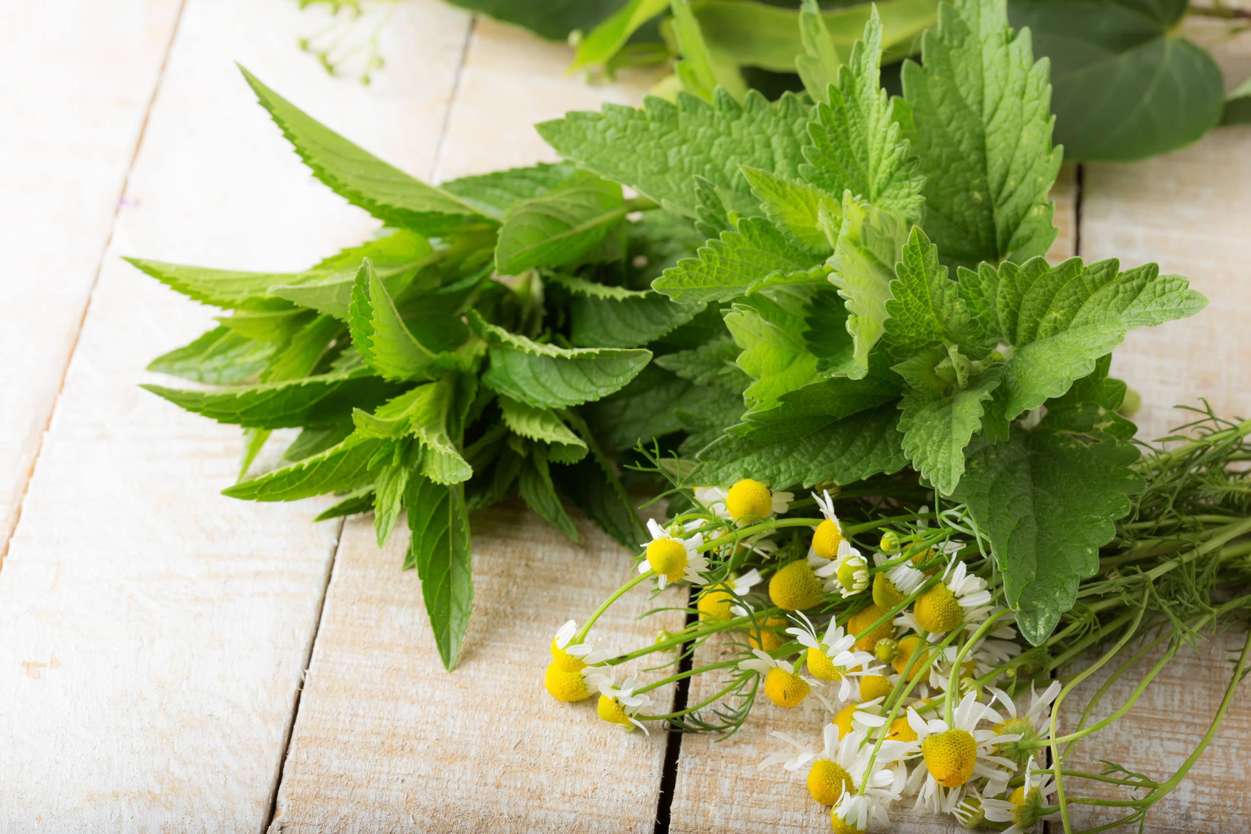 Pantry Remedies for Sore Feet: Grounded Relief from the Heart of Your Home
